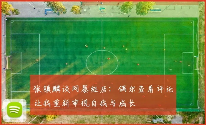 张镇麟谈网暴经历：偶尔查看评论让我重新审视自我与成长